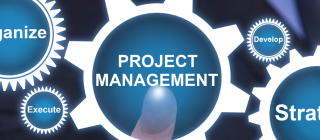 Project management